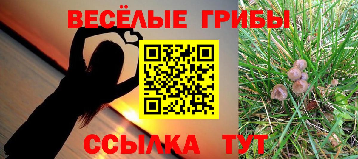 Обь  Псилоцибиновые грибы Cubensis  Вход с VPN 