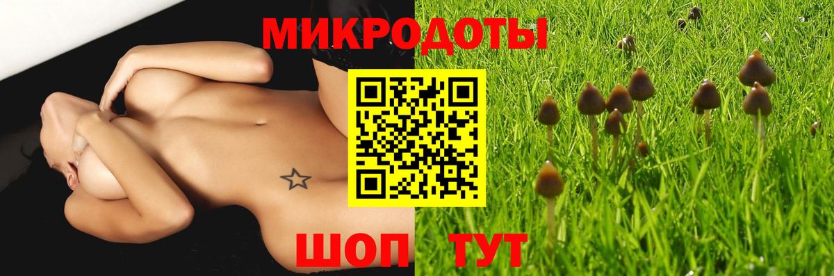 Псилоцибиновые грибы Cubensis Обь